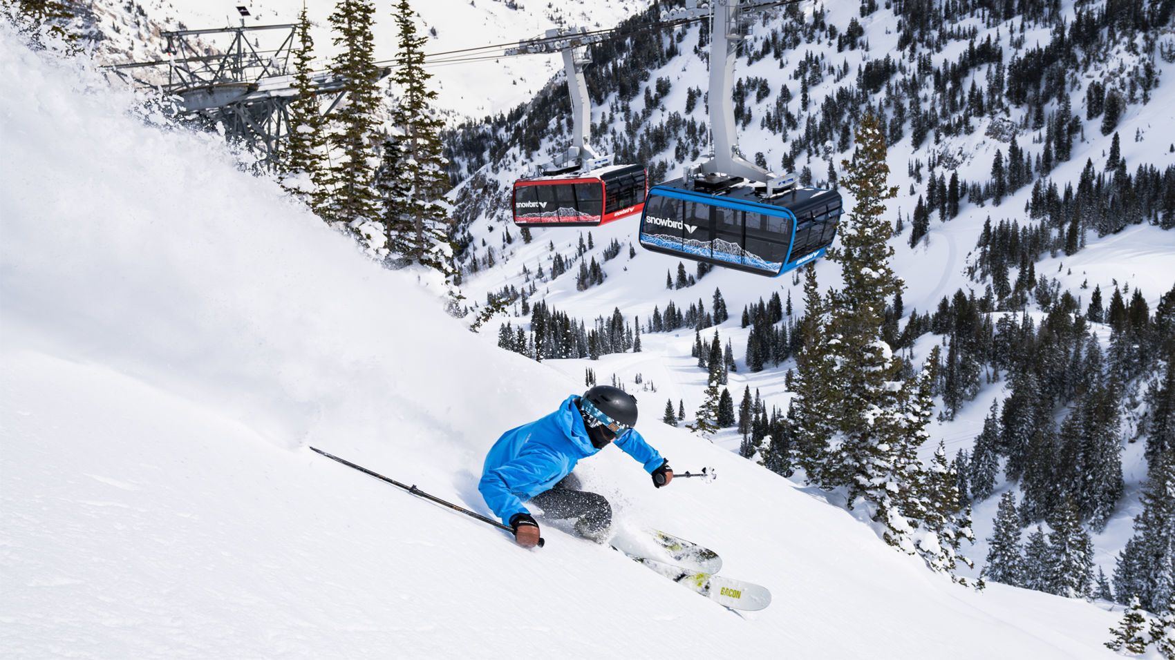 Snowbird Winter Full Day Lift Ticket