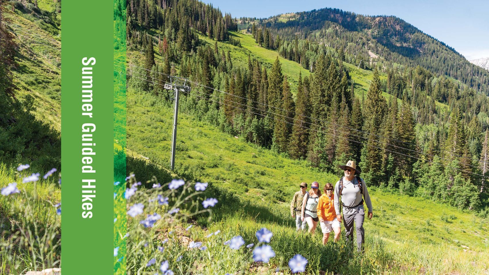 Picture of Summer Guided Hikes