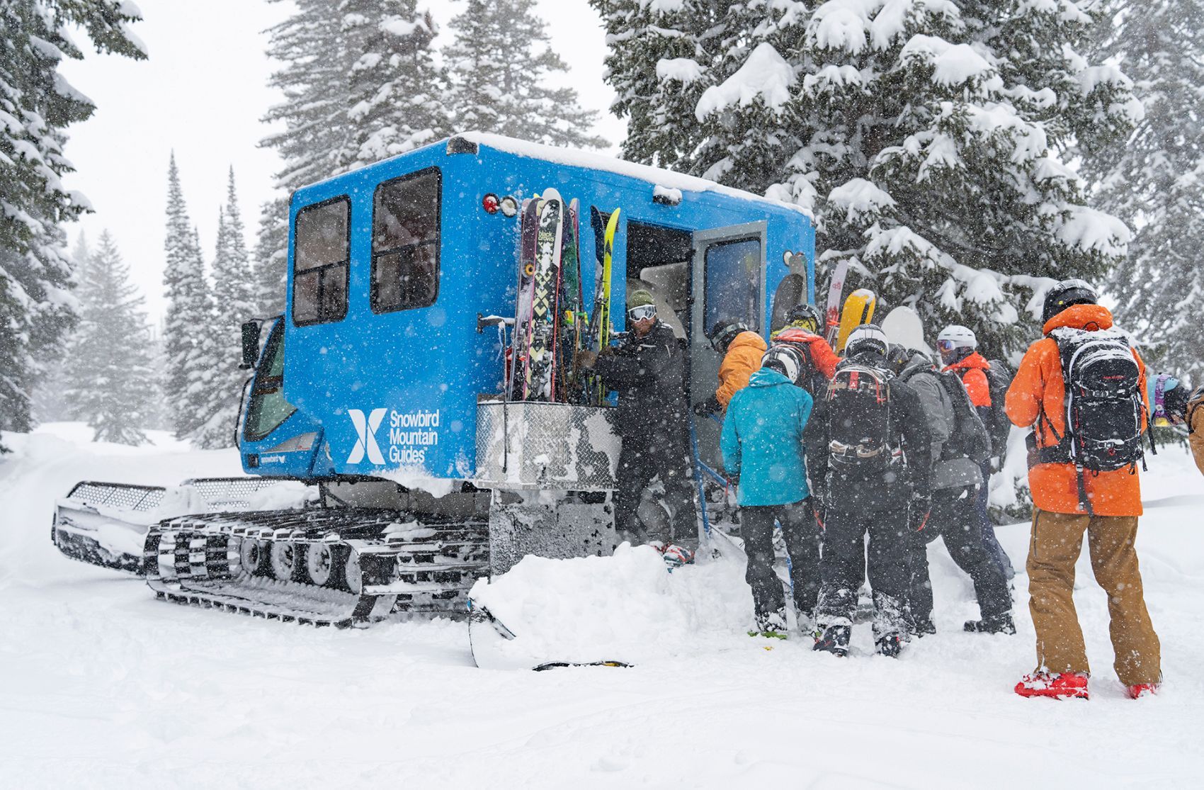 Picture of Snowcat Skiing | Ages 16+