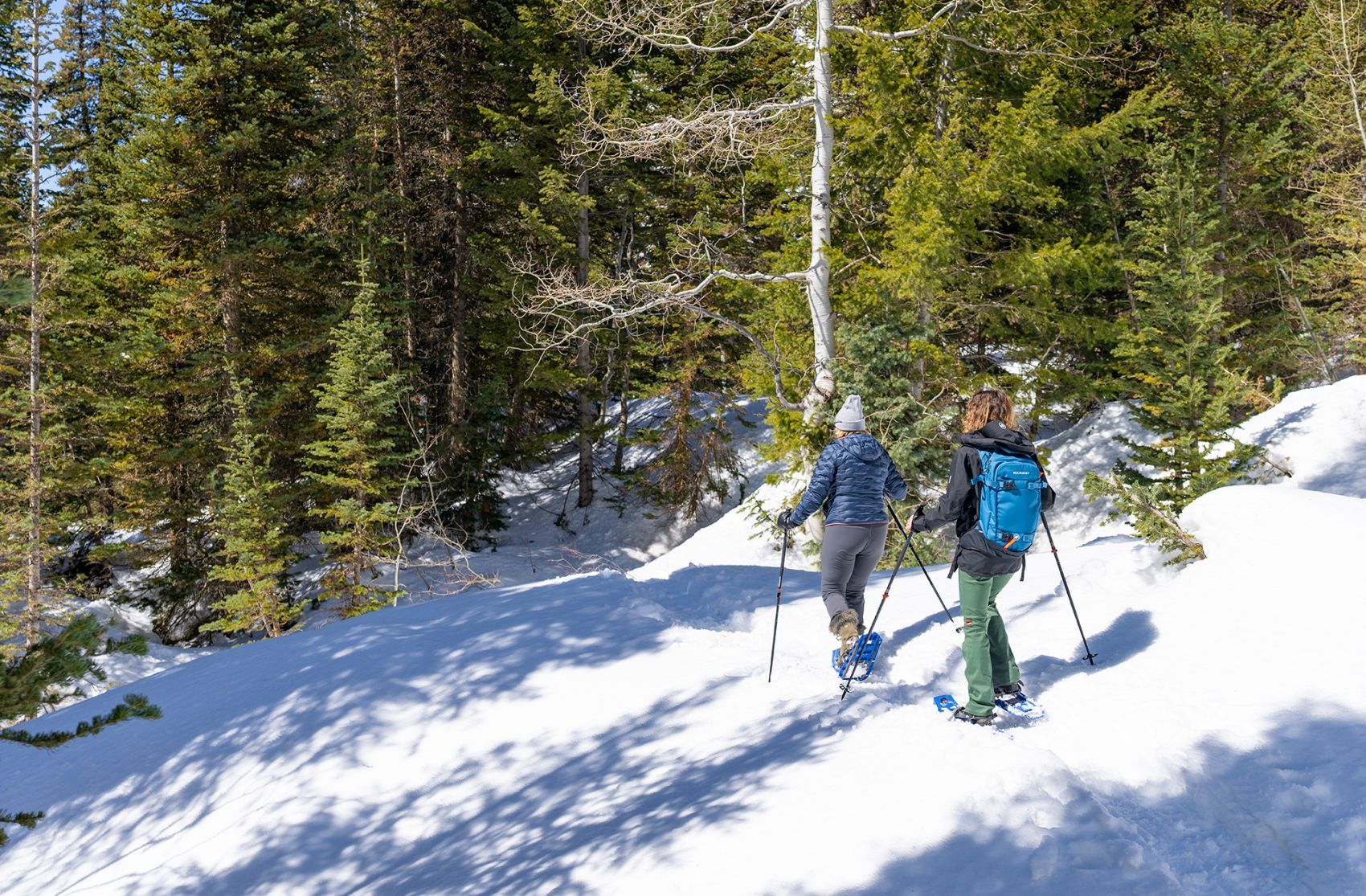 Picture of Snowshoe Tour | Ages 16+