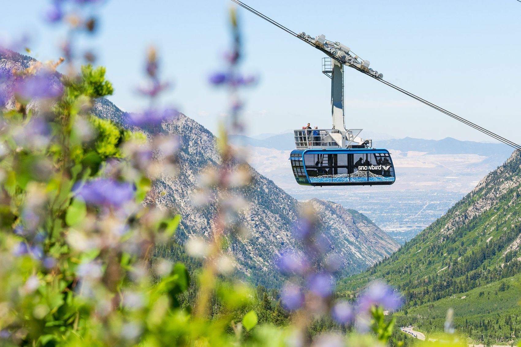 Picture of All-Day Summer Scenic Tram Rides