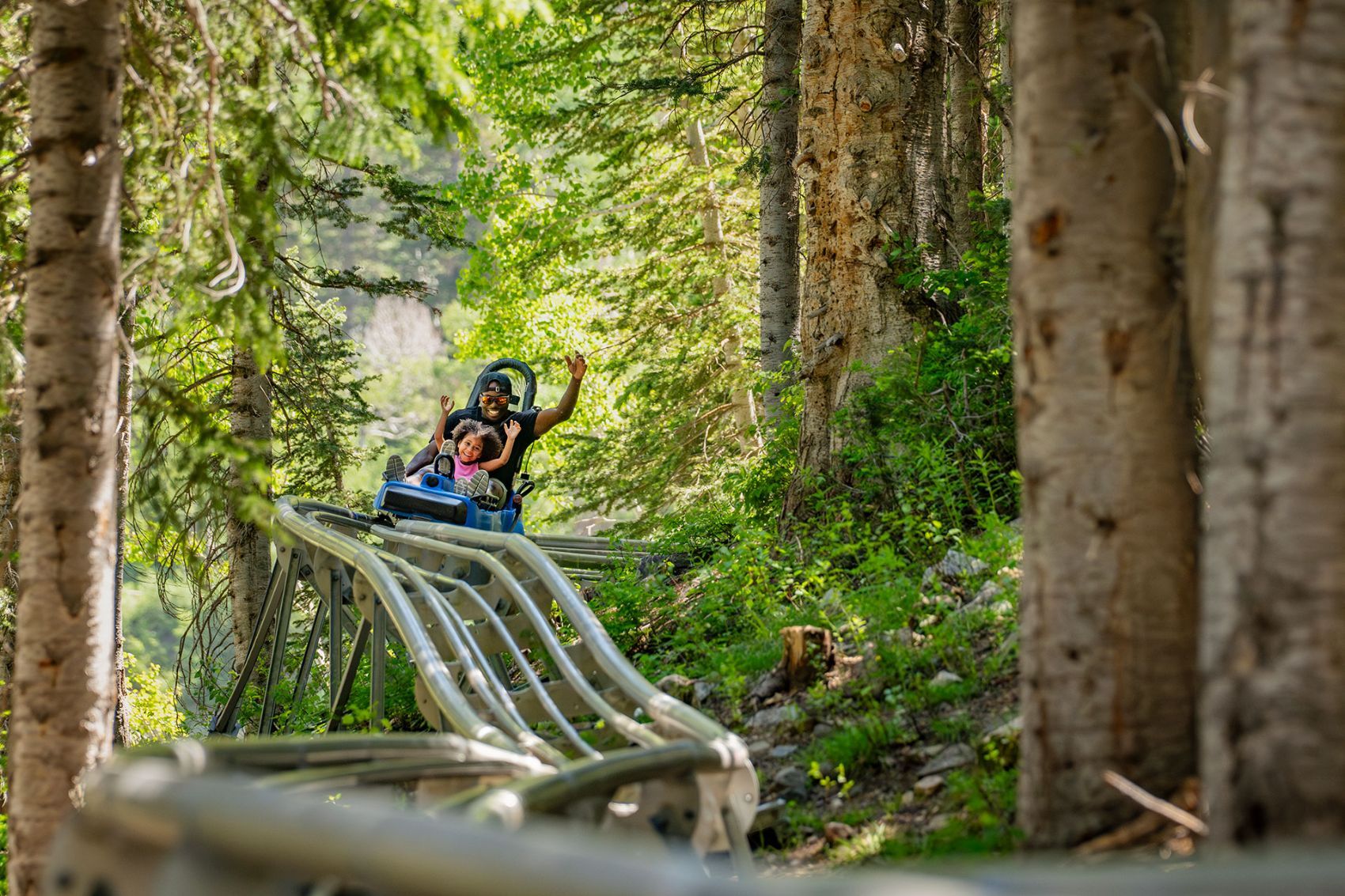 Picture of All-Day Activity Pass | Snowbird & Save